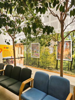 Wall art with real trees in foreground