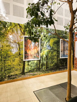 Wall art forest theme